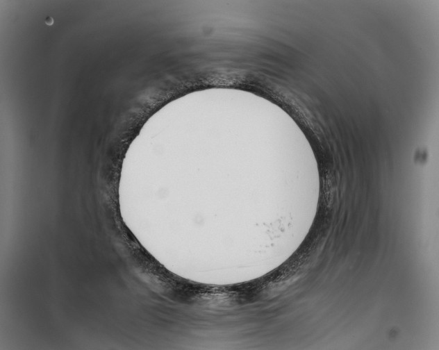 X0000099550307200806061523