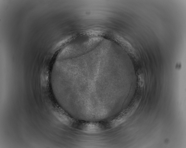 X0000099550308200806061523