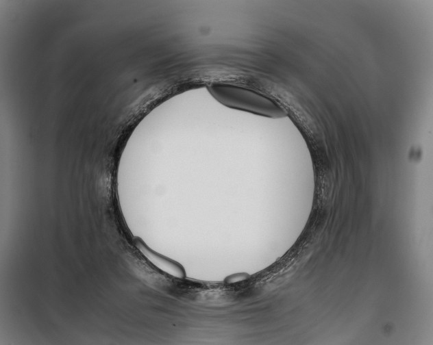 X0000099550309200806061523