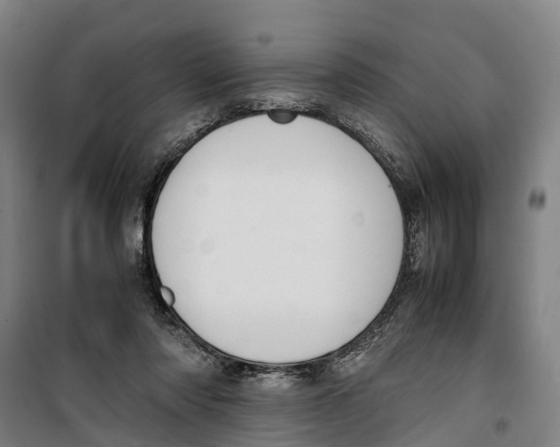 X0000099550310200806061523