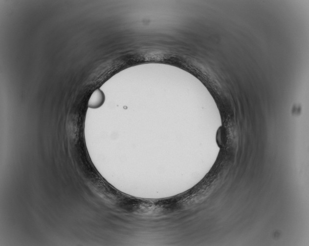 X0000099550311200806061523