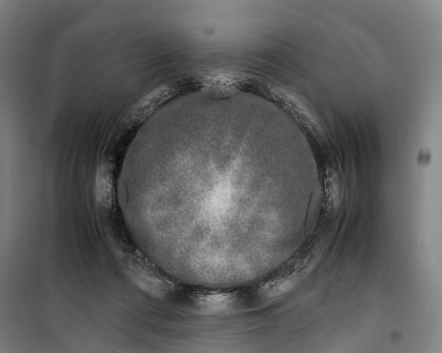 X0000099550312200806061523