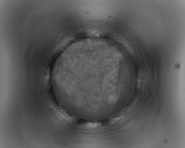 X0000099550314200806061523