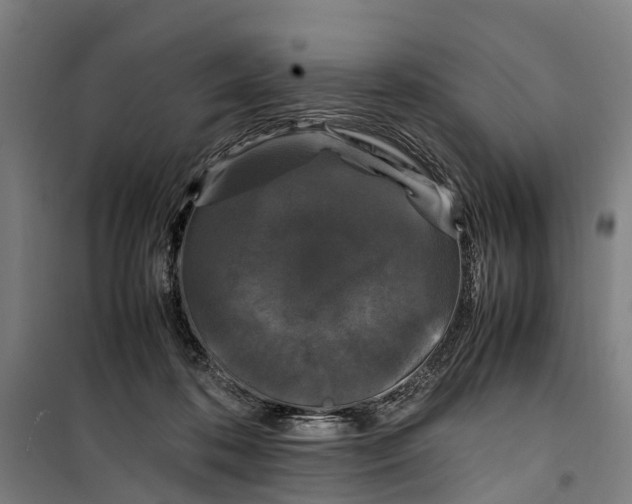 X0000099550316200806061523