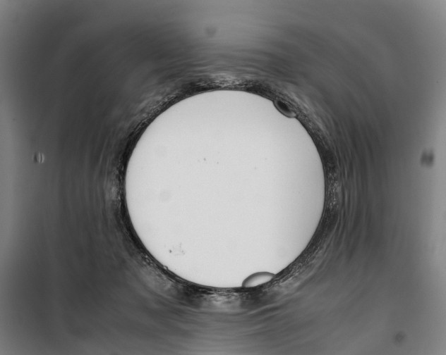 X0000099550317200806061523