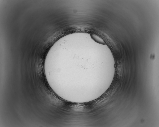 X0000099550318200806061523