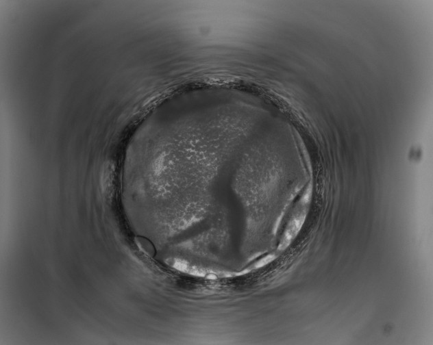 X0000099550319200806061523