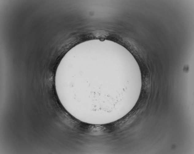 X0000099550321200806061523