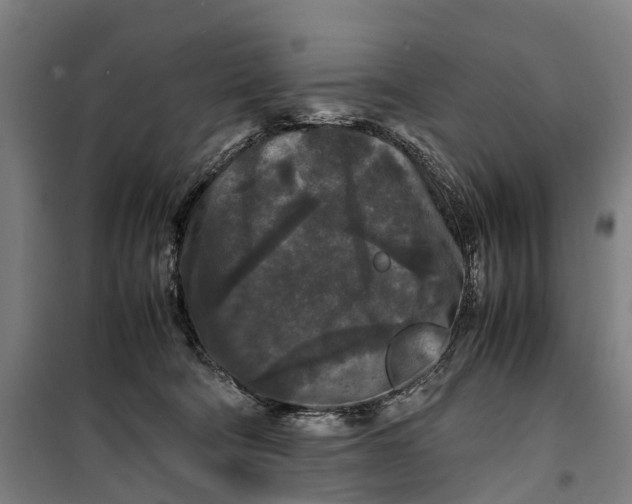 X0000099550322200806061522