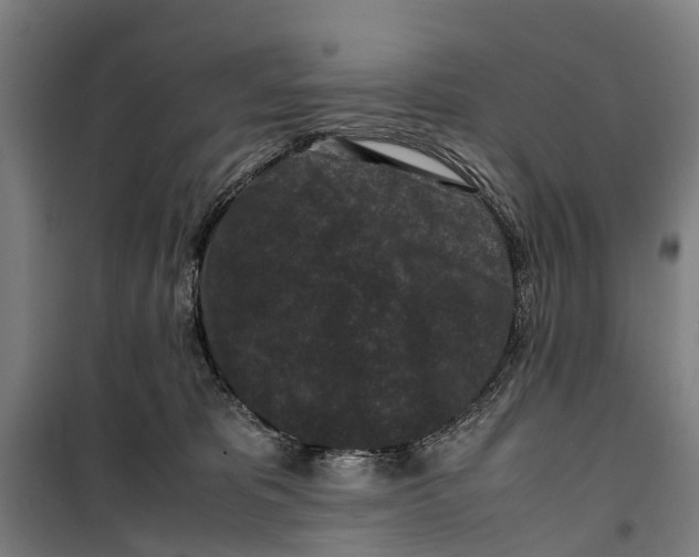 X0000099550325200806061522