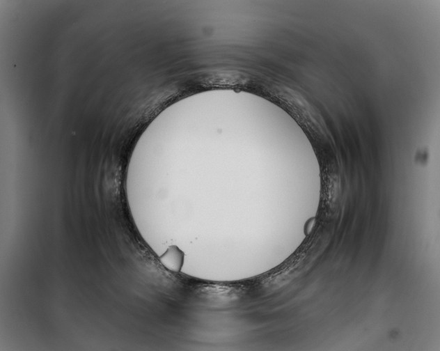 X0000099550326200806061522