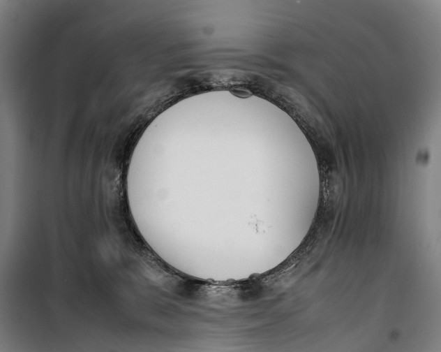 X0000099550327200806061522