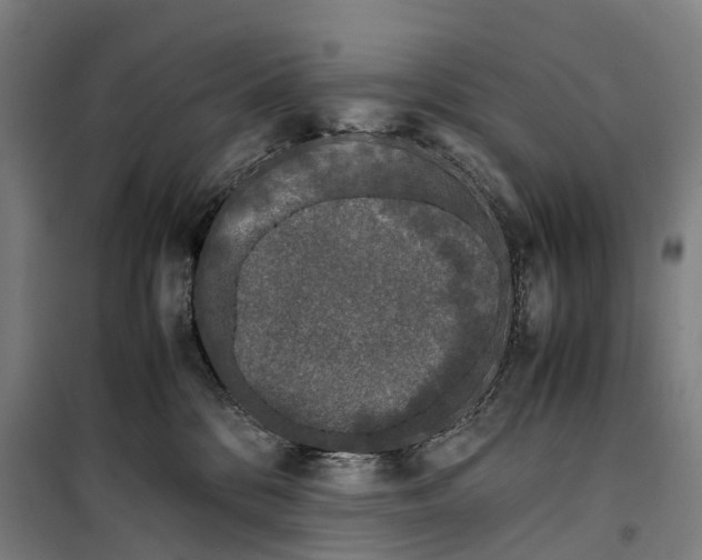 X0000099550328200806061522