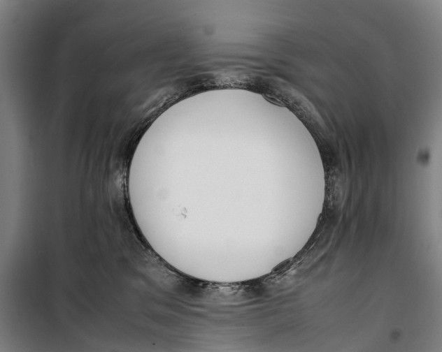 X0000099550329200806061522