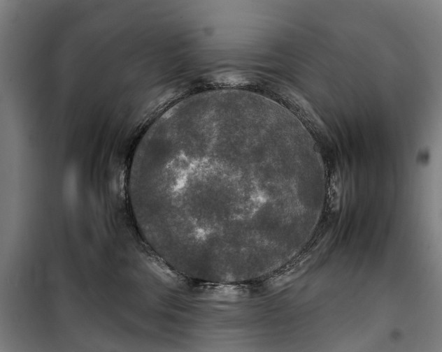 X0000099550330200806061522