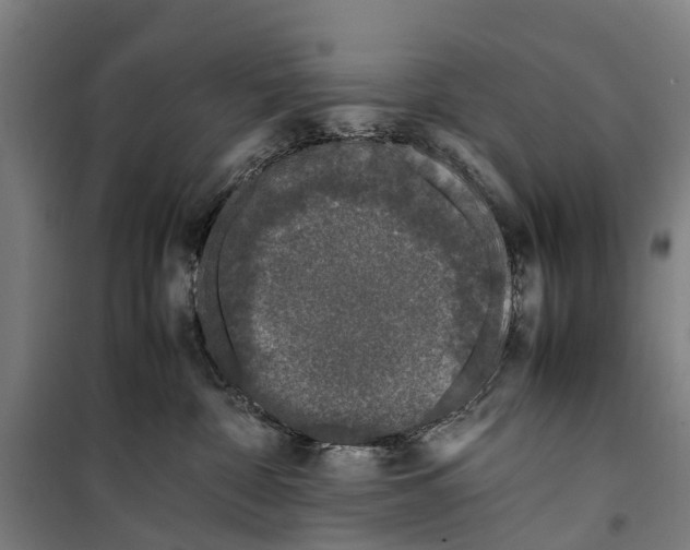 X0000099550332200806061522