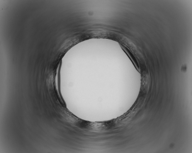 X0000099550333200806061522