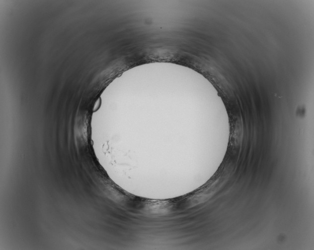 X0000099550334200806061522