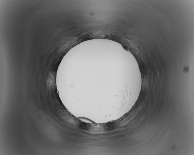 X0000099550335200806061522