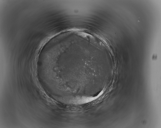 X0000099550337200806061521