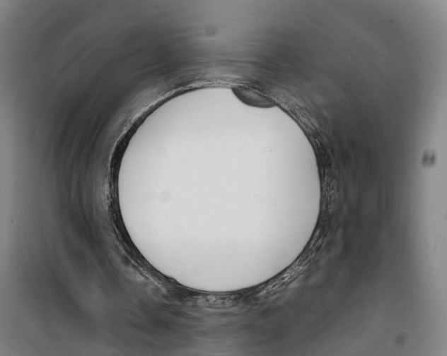 X0000099550338200806061521