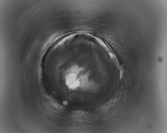 X0000099550339200806061521