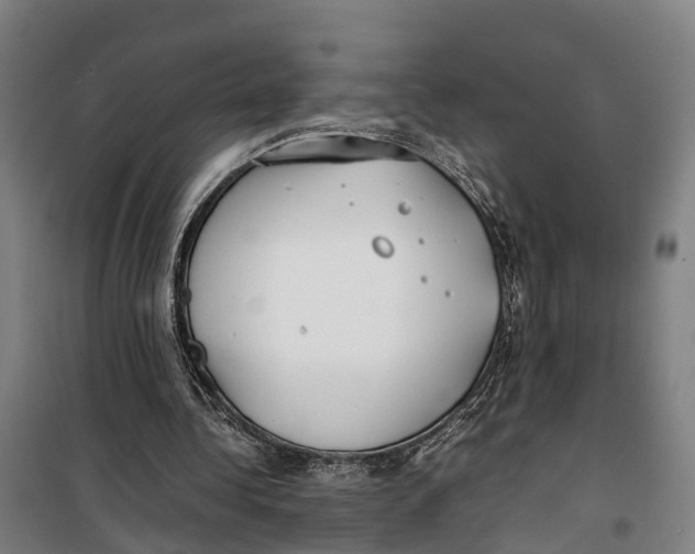 X0000099550340200806061521