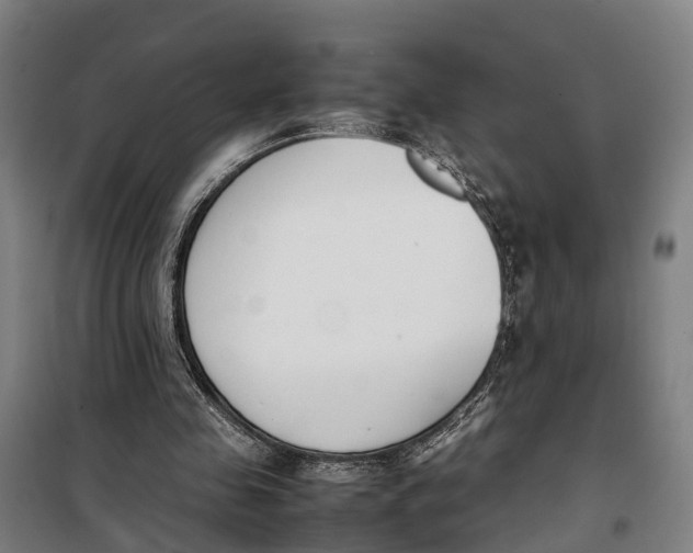 X0000099550341200806061521