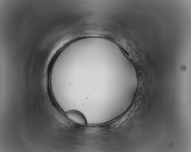 X0000099550342200806061521