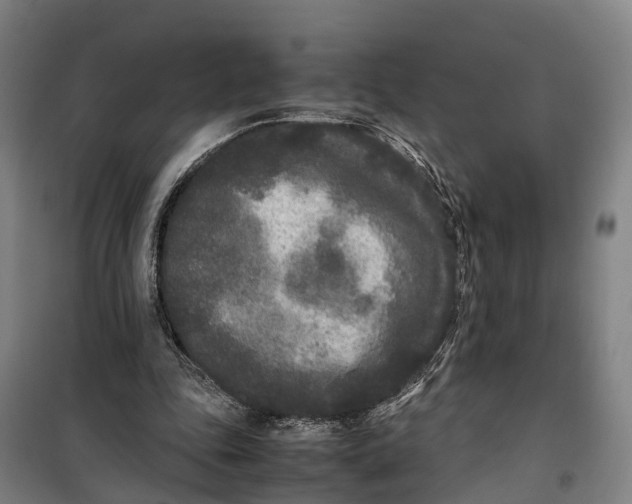 X0000099550343200806061522