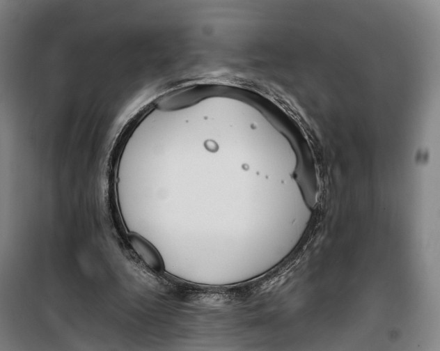 X0000099550344200806061522