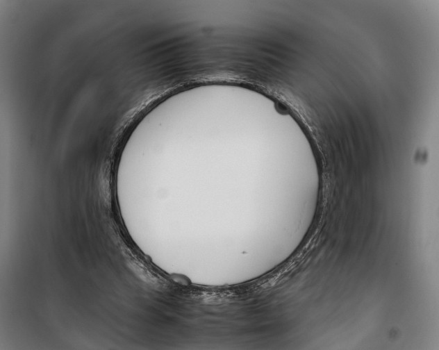 X0000099550345200806061522