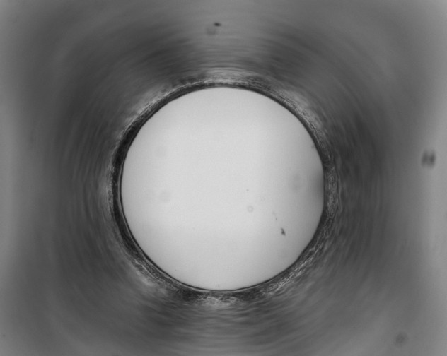 X0000099550346200806061522