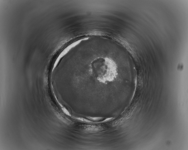 X0000099550347200806061522