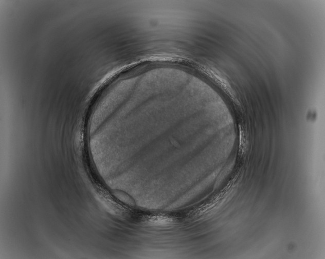 X0000099550348200806061522