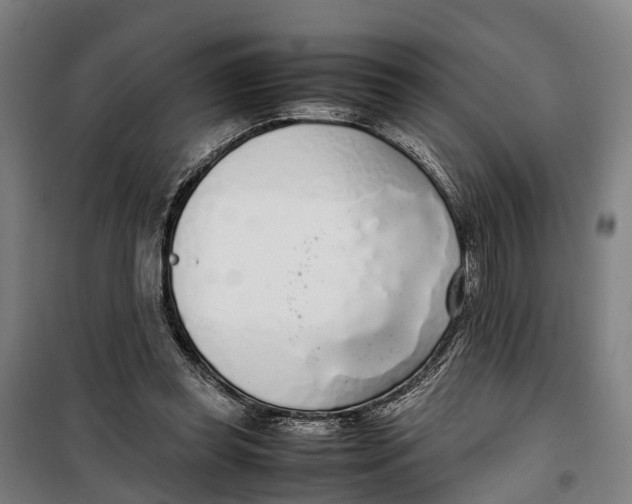 X0000099550349200806061522