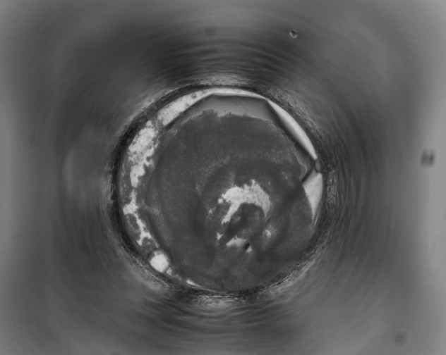 X0000099550351200806061522