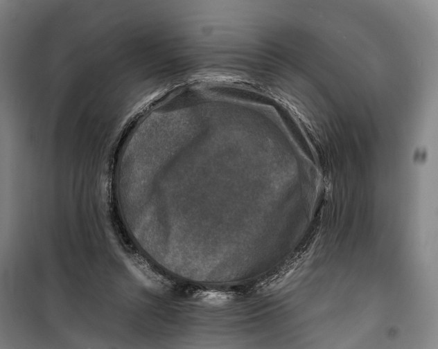 X0000099550352200806061522