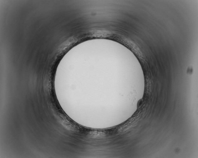 X0000099550354200806061522