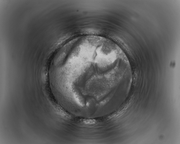 X0000099550355200806061522