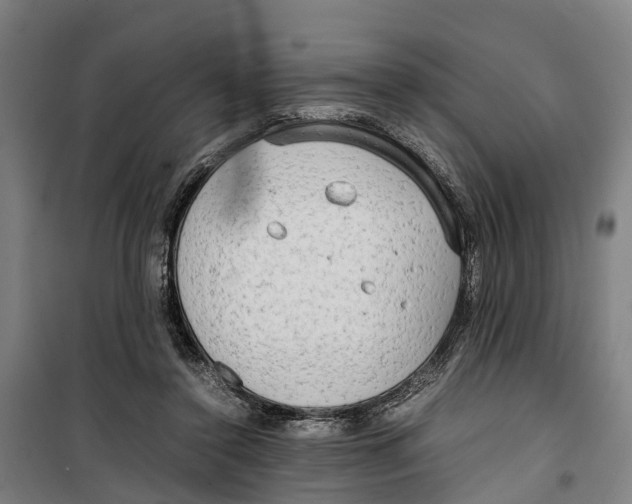 X0000099550356200806061522