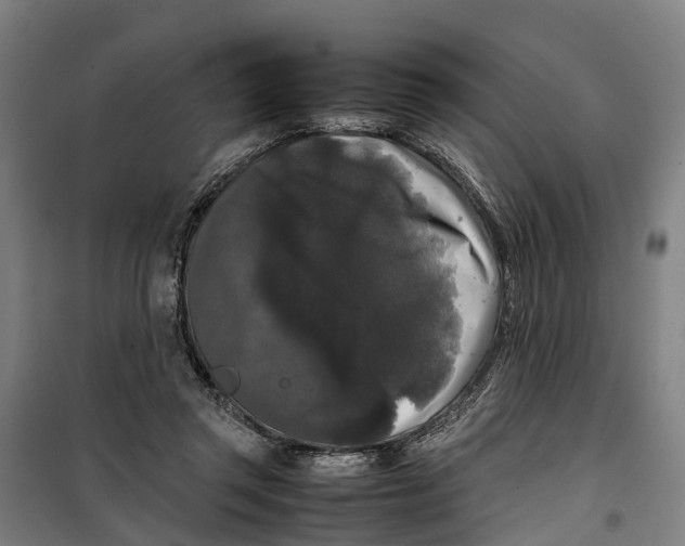 X0000099550357200806061522