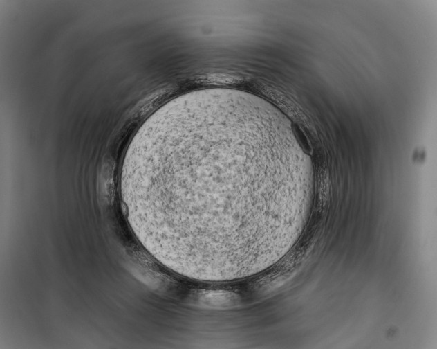 X0000099550360200806061522