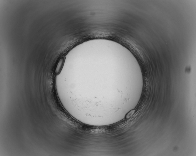 X0000099550362200806061522