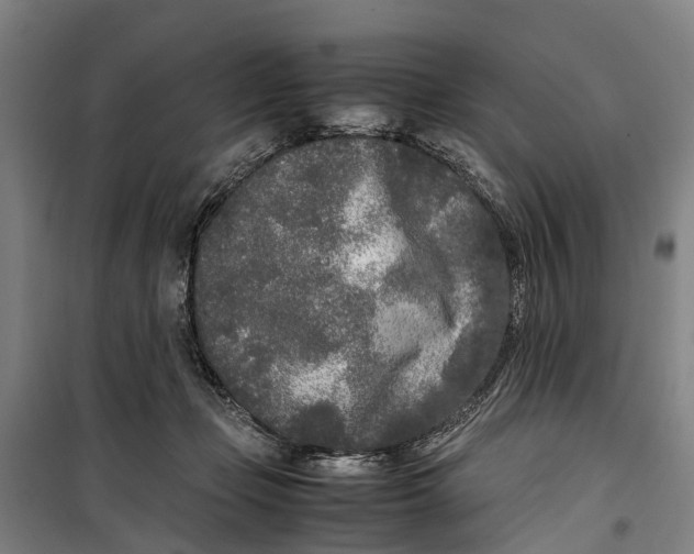 X0000099550365200806061522