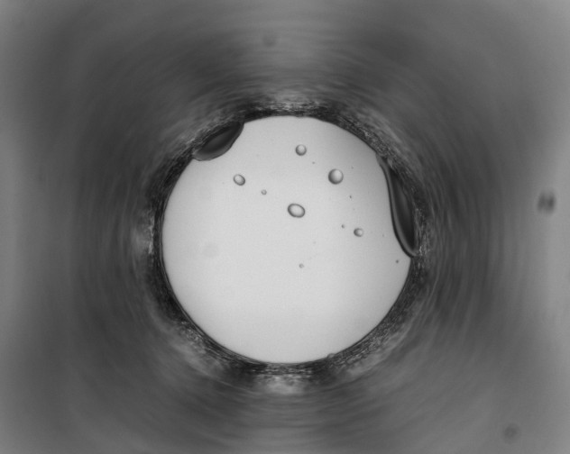 X0000099550368200806061522