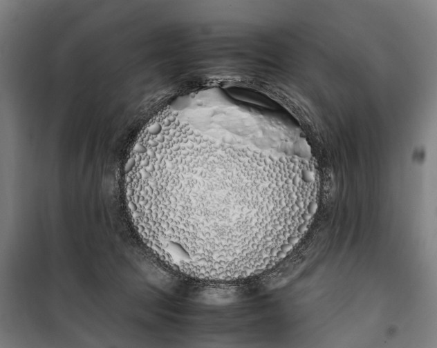 X0000099550369200806061522