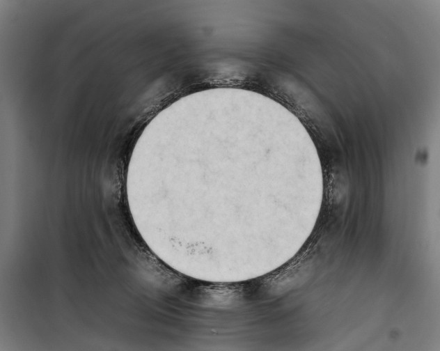 X0000099550370200806061522