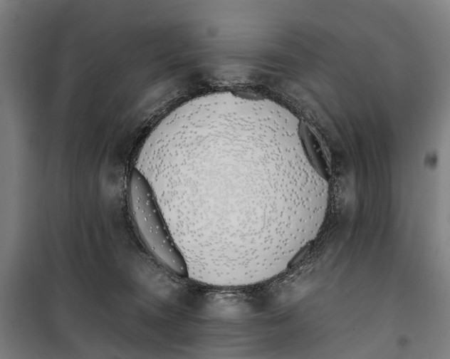 X0000099550372200806061522