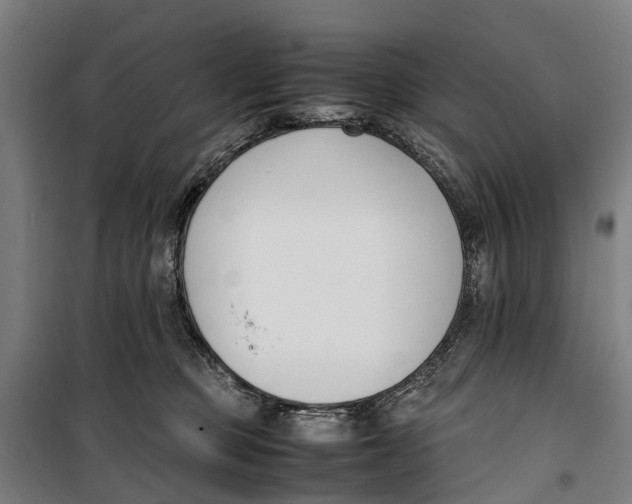 X0000099550373200806061522